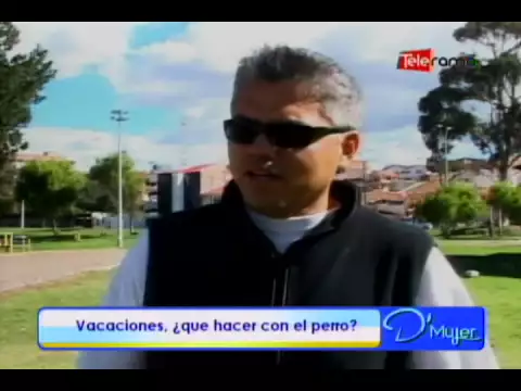 Vacaciones ¿qué hacer con el perro?