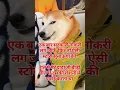 Download Lagu #jindagi ye jhand bc ... 😂😅🤣#funny #shorts #viral #video #comedy #new #reels