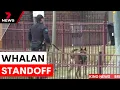 Download Lagu Standoff in Sydney's west as armed police respond to knife-wielding man | 7NEWS