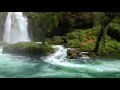 Download Lagu 15 Minute, Deep Relaxing Flute Music  Meditation Music, Yoga, Spa, Study, Calming, Soothing Music