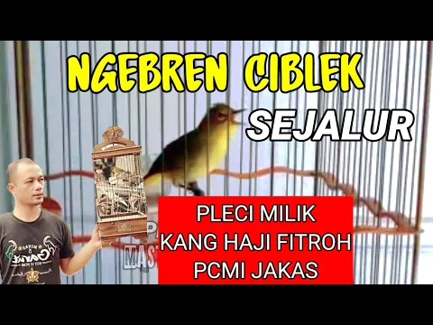 Download MP3 pleci ngebren ciblek sejalur koleksi pleci mewah Haji Fitroh PCMI JAKAS , cocok untuk Pleci G12