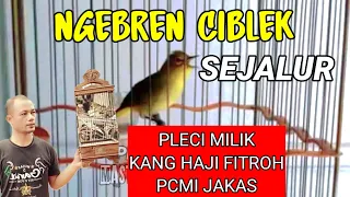 pleci ngebren ciblek sejalur koleksi pleci mewah haji fitroh pcmi jakas cocok untuk pleci g12