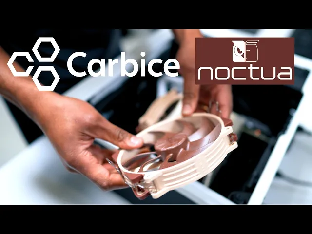 Carbice and Noctua