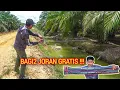 Download Lagu MAU JORAN PANCING GRATIS ??? CEK DISINI 🔥