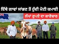 Lagu ਗਾਵਾਂ ਸਾਂਭਦੇ ਪੰਜਾਬੀ ਮੁੰਡੇ Dairy Farming New Zealand | Punjabi Travel Couple | Ripan Khushi