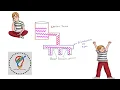 Why voltage is same in parallel connected circuit
