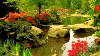 شعر سوداني روووووعه ودجاركوك 