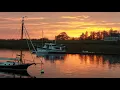 Dolphin Marina