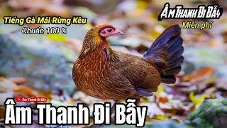 ti ng g m i r ng k u chu n k ch g i tr ng mp3 m thanh i b y