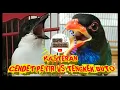 Download Lagu MASTERAN GREJA NYERET CENDET PETIR VS TENGKEK BUTO NEMBAK PANJANG !!