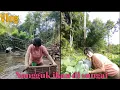 Download Lagu Cari Ikan pakai alat Tradisional Tangguk/Sauk wanita Dayak Siang