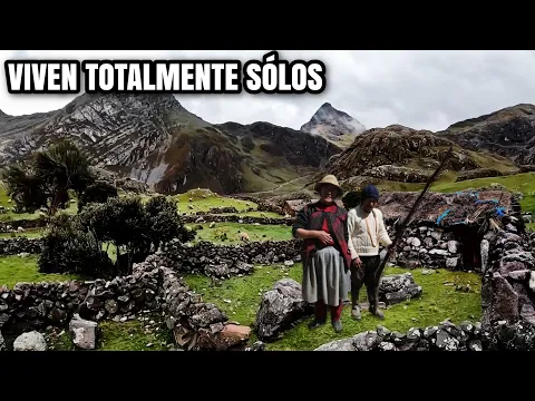 Download MP3 Esta pareja VIVE SÓLO, criando TRUCHAS  y OVEJAS en los ANDES del PERÚ