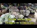 Download Lagu Thứ bảy 4/10/2025 cập Nhật giá bán sỉ và lẻ rau củ quả chợ đầu mối Hóc Môn 