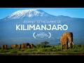 Download Lagu Journey to the Summit of Mount Kilimanjaro