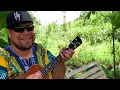 Damien Awai - Rainforest Reggae