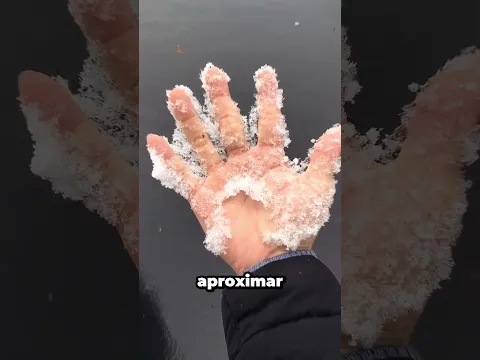 “O homem e o mistério do floco de neve de 10 anos 😮❄️”