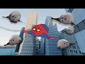 Spider-Man but its Bouncing Seals