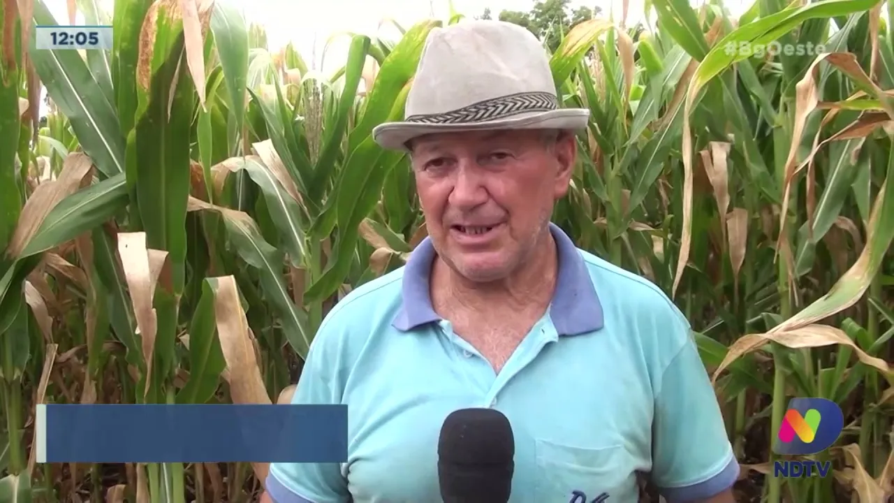 Prejuízos causados pela estiagem chegam a R$ 135 milhões no Meio Oeste