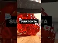 Download Lagu SURAT CINTA UNTUK TONO 💌