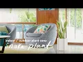 Download Lagu Indoor/Outdoor Plant Tips From The Sill: Snake Plant