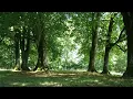 Veronika ASMR Some Real Good ASMR use headphones