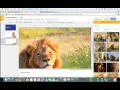 Using Explore in Google Slides