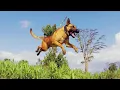Download Lagu Waarom honden van ons houden: het verhaal achter