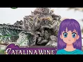 Catalina Wine Mixer - Greenpoint Seeds