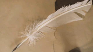 Miniatura do vídeo Booktrailer do livro Barléu, produzido pela Cacoete Produções para Cepe Editora