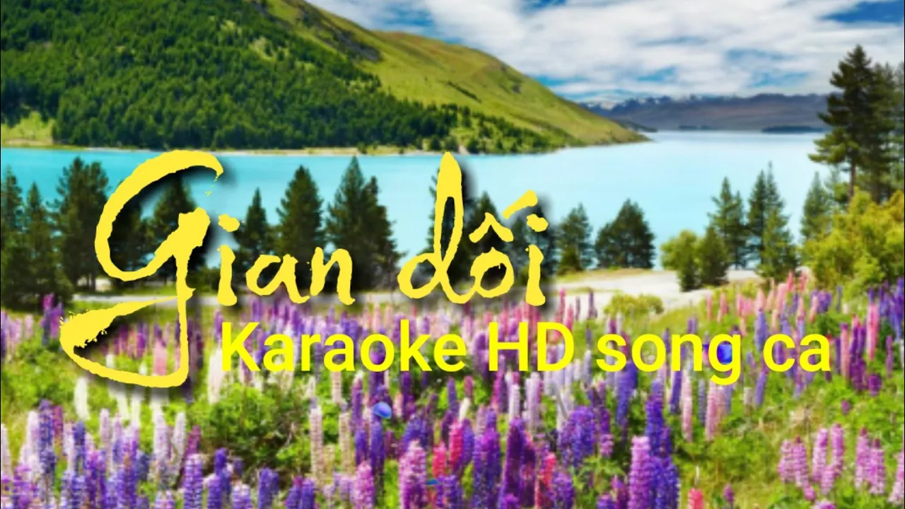 Gian dối karaoke HD song ca