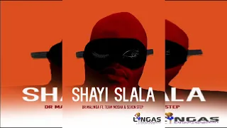 dr malinga shayi slala ft team mosha u0026 seven step official audio 