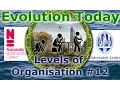 Evolution Today - 12 Levels of Organization