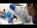 WATCH CDC advisers vote on who will be first to receive coronavirus vaccines