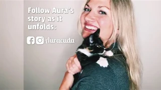 Aura the Cleft Palate Kitten - TinyKittens com
