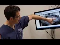 Meet Dr Nagel