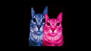 𝚃𝚅 𝙶𝙸𝚁𝙻 𝙿𝙻𝙰𝚈𝙻𝙸𝚂𝚃 