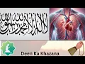 Download Lagu Best zikr la ilaha illallah | Heart Soothing Zikr | Listen Daily | 1000 Times | Zikr from Heart beat
