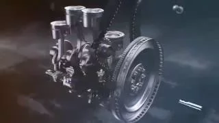                                            دندنها