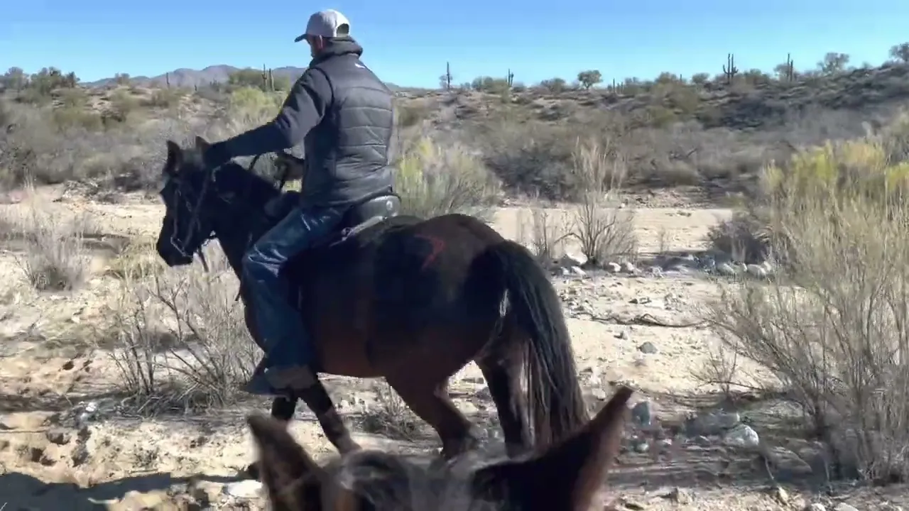 2022 Land of the Sun Endurance Ride Vlog