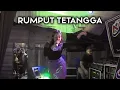 Download Lagu RUMPUT TETANGGA Mix  cover LIA Adisty -  NADA RIA LIVE MUSIC