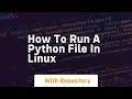 how to run a python file in linux