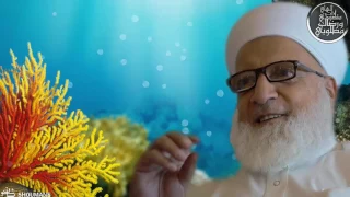 الإخـوة أبو شــعر ـ القلب يعشق كل جميل 