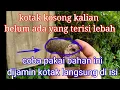 Lagu Ramuan agar lebah madu cepat masuk kotak yang kosong👍👍👍👍👍