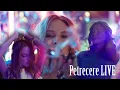 Download Lagu Bogdan Gavris -Colaj petrecere LIVE  💯AlbumMix