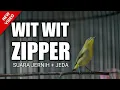 Download Lagu MASTERAN PLECI WIT WIT WIT ZIPPER TERBARU !!!
