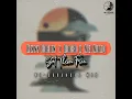 Download Lagu Kenny Bobien x Rocco x Mel Muziq - Set Them Free [Re-Arranged Mix]