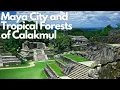 Download Lagu Exploring the Ancient Maya City and Tropical Forests of Calakmul