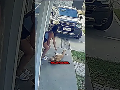 Este perro fingió estar mal solo para que su dueña lo acariciara
