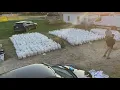 Massive drug bust finds 8 5 million worth of illegal mushrooms in Burlington home