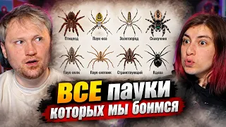 ВСЕ пауки которых мы боимся (И ЗРЯ) за 21 минуту | РЕАКЦИЯ